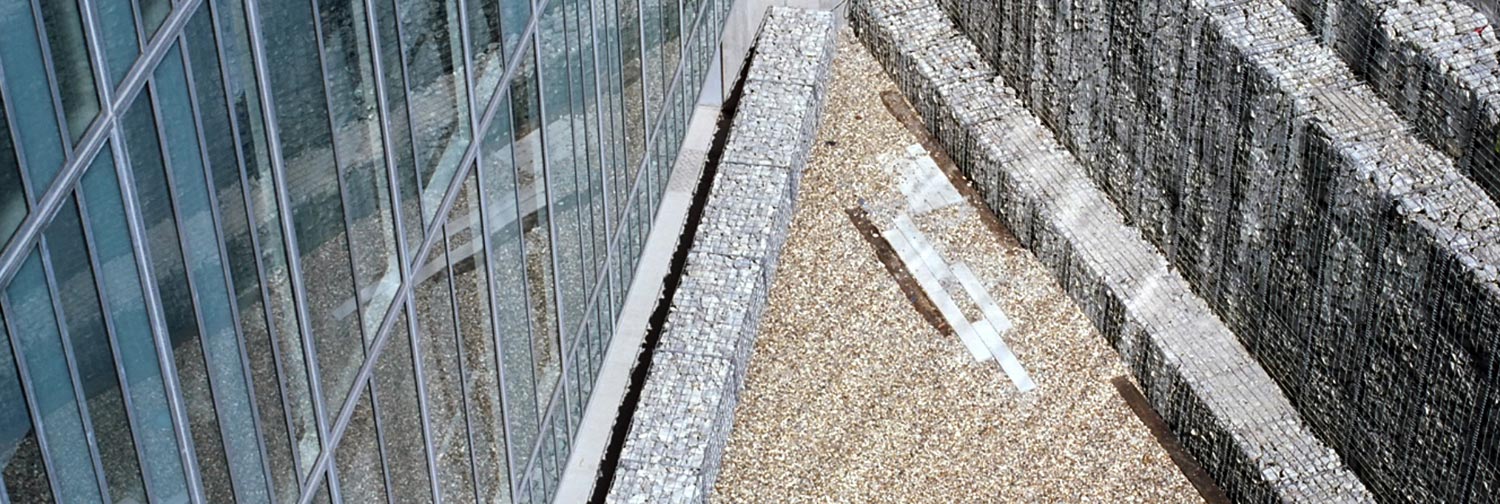 Walter Menteth Architects